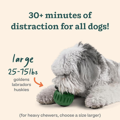 CalmChew™ Treat Tray